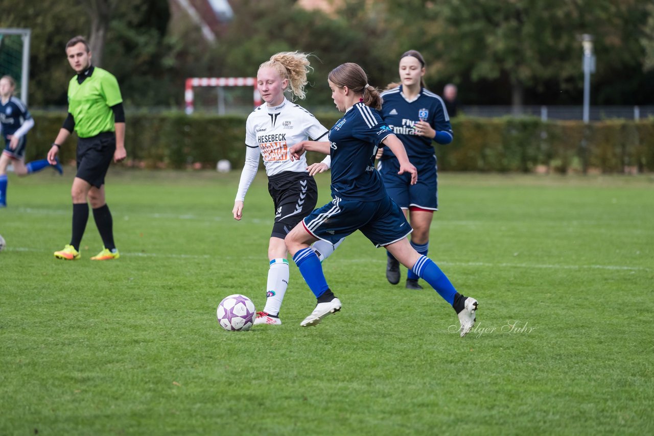 Bild 303 - B-Juniorinnen SV Henstedt Ulzburg - Hamburger SV : Ergebnis: 2:3